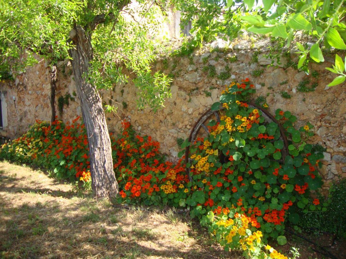 Son Pons Buger